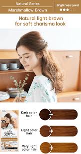 Review liese bubble marshmallow brown on black hair. Liese Creamy Bubble Color Marshmallow Brown Beauty Lifestyle Wiki Fandom