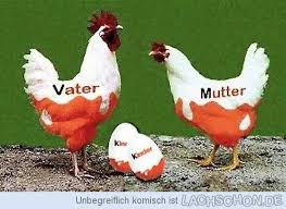Pin Auf Funny