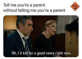 Just when you think you lose it because your kids are driving you crazy, look at some of these hilarious parents memes that we hope will put a smile on your face. Best Memes For Parents And Moms Nymetroparents