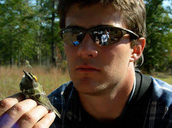 Previous Researchers