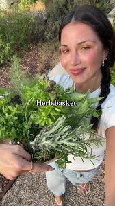 Let’s harvest an herb basket full of basil, chives, oregano, rosemary,  dill, and lavendar for my girlfriend! #harvest #garden #kitchengarden  #gardentok #gardening #gift #herbs #herbgarden ...