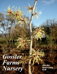 We did not find results for: Fillable Online Download Catalog Gossler Farms Nursery Fax Email Print Pdffiller
