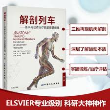 Vertebral column and spinal cord; Anatomy Train Simplified Chinese Third Edition The Third Edition Myofascial Meridian Meridian Myofascial Book Full Color Human Anatomy Atlas Medical Atlas Anatomy Book Xinhua Bookstore Books