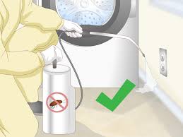 Fix pipe leaks and eliminate damp areas. 4 Ways To Get Rid Of Waterbugs Wikihow