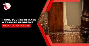 You can control pest yourself with domyown's pest control subscription program. J P S Termite Pest Control Jp S Termite Pest Control Read Our Blog