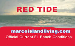 Is red tide naples florida a big issue? Gulf Coast Sw Fl Red Tide Beach Report For State Of Florida Marco Island Living