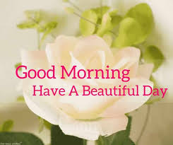 Good morning pink roses boquet. Top 134 Good Morning Wishes With Rose Best Hd Images