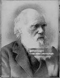 934 Darwin Smith Stock Photos, High-Res Pictures, and Images