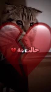 Thank You, Dear Friends, for Your Support