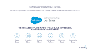 Salesforce Consultant Cloudity