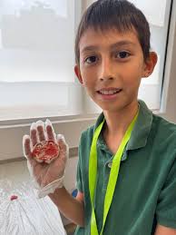 Mid-Autumn Festival Photo Gallery