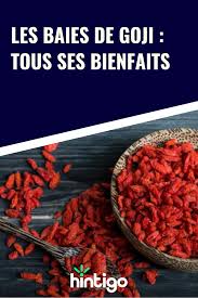 La baie de goji, aussi surnommée lyciet de chine est un fruit venu tout droit de chine. Les Baies De Goji Tous Ses Bienfaits Aliments Bons Pour La Sante Baie De Goji Nutrition