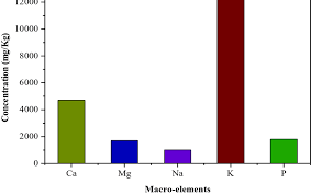 Image result for Vitex madiensis