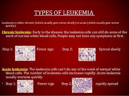 Learn about the major types of leukemia in adults, and understand the differences between acute and chronic types of leukemias. How Many Types Of Leukemia Are There The Millennial Mirror