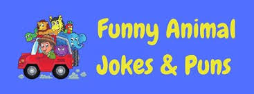 We have a genetic predisposition for diarrhea. 100s Of Really Funny Jokes Laffgaff The Home Of Laughter