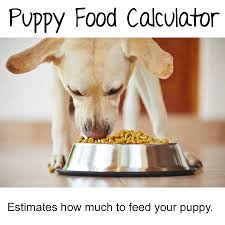 Puppy Weight Calculator How Big Will Your Dog Be