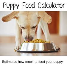 puppy weight calculator how big will your dog be