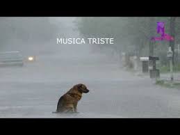 Make social videos in an instant: Pin En Musica Relajante