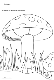 ressources pedagogiques la ligne en maternelle autour du theme de l automne coloring pages art template colouring coloriage hibou
