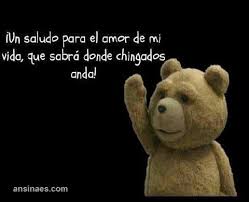 Un Saludo Para El Amor De Mi Vida Ansinaes Com Imagenes Chistosas De Amor Amor De Mi Vida Frases