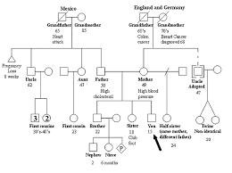 Other medical professionals to assess families and try to spot patterns or indications which may. Genetic Family Tree Chart Detikak