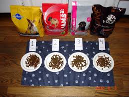 Dog Food Preference Experiment Do Dogs Prefer Pricier Foods