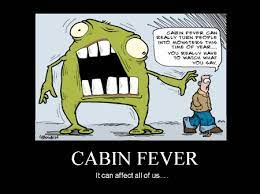 We did not find results for: Cabin Fever Funny Quotes Quotesgram