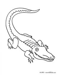 100day amazing groot coloring pages outstanding difficult. Get This Easy Preschool Printable Of Alligator Coloring Pages Qov5f