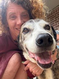 Why did God only make one yogi bear?He tried to make another but made a  boo-boo. 😁