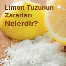 Limon Tuzu Nedir Zararlari Nelerdir Ve Nerelerde Kullanilir