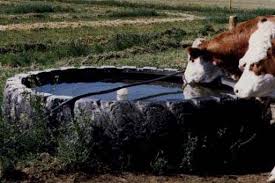 Shop By Category Ebay Livestock Water Trough Water Trough Cattle Water Trough
