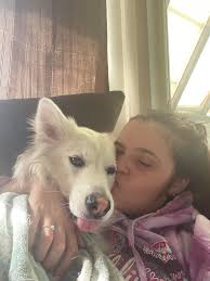 Hi I'm Amanda. I'm new. Just wanted to say hi from me and my floofies. From  bottom to top: bella, Buddy, batman, flash