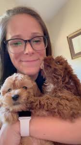 Send this to your opposite besties 👯 , #crockettdoodles #doodles  #introvert #extrovert