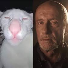 Tio Jack era aleman ? O porqye traia el tatuaje nazi?🤔🤔😱😱