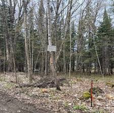 Profile for Making Moonstorm Ranch