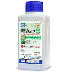 Venus 300EC