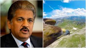 Anand Mahindra's Monday Motivation is a mini-cam hooked into an eagle