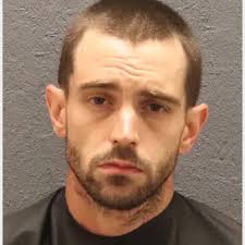 Полицейские нашли украденную лошадь в спальне у американца: Звери: Из  жизни: Lenta.ru