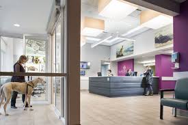 It began with just 2 doctors and a small staff providing emergency care to pets in the spokane area on nights, weekends and holidays. The Organized Hospital Yes It Is Possible Dvm360