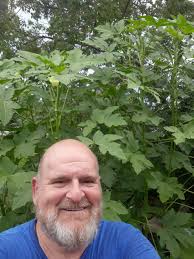 I'm still planting more okra here in Louisiana.