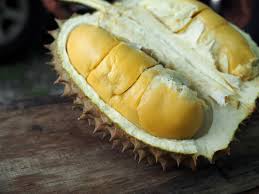 Get your team aligned with all the tools you need on one secure, reliable video platform. Bentong Durian Farm Chan Family Malaysudron