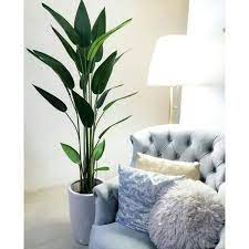 Liatnya alahainya nak mulakan kerja hari ni. Home Living Decor Decoration Plastic Tree Plant Flower Pokok Bunga Palsu Tiruan Plastik Hiasan Dalam Rumah Lazada