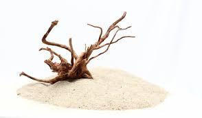 Spider Wood Aquascape 9x7x7 Lxwxh Etsy Nature Aquarium Aquarium Driftwood Aquascape