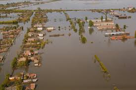 Image result for inundatii