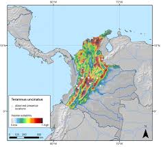 Image result for Teramnus uncinatus