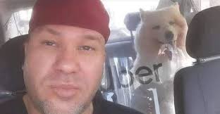 Paula Albuquerque Teixeira