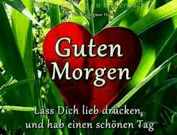 Guten Morgen Steffen Fischer Google Fischer Google Guten Morgen Steffen Guten Morgen Liebe Guten Morgen Grusse Guten Morgen Schatz
