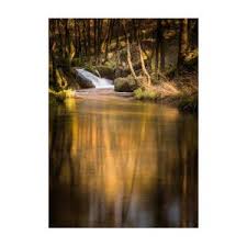 We did not find results for: Quedas De Fervenca Valinhas Santo Tirso Portugal Photograph By Ernesto Santos