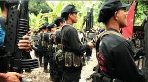 Image result for 菲律宾共产党及左翼社会主义运动