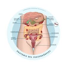 Des renseignements sur les causes possibles ou les traitements ? Was Ist Endometriose Endometriose Vereinigung Deutschland E V